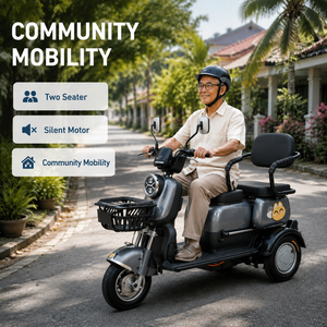 Electric TukTuk 800W Motor Family Trike