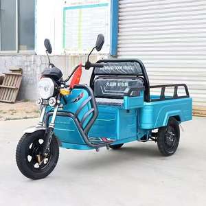 Three Wheeled Cargo Electric Tricycle