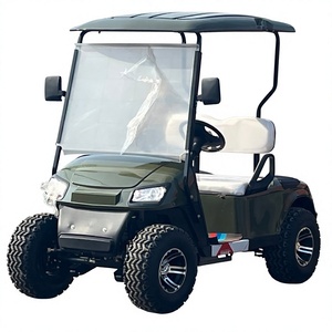 Classic Two Passenger Mobility Vehicle CE Lithium Battery