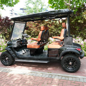 Spring 2026 LSV Street Legal 4 Seater Electric Golf Cart