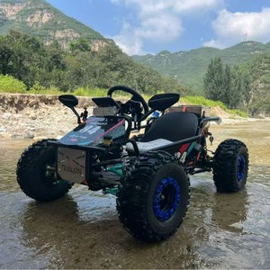 Fuel-Powered Off-Road Drifting All-Terrain Go-Kart with 3.5L Fuel Tank & 600kg Load Capacity Mountain & Stair Climbing