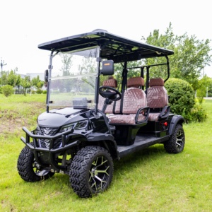 Rainbow New 6 Seater Golf Buggy Gas Powered Gasoline Import Golf Carts From China Street Legal Golf Cart