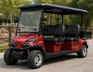 CE Certified NEV 4 Seater Golf Vehicle with Tipper Bed