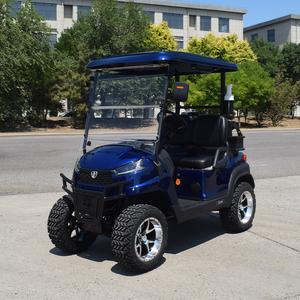 ZYCAR 2-Seater Golf Car Aluminum Frame Lithium Battery Off-Road Electric Golf Cart