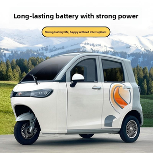 Fully Enclosed Three Wheeled Electric Vehicle