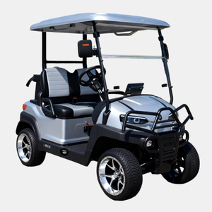 Customizable Lithium Battery 2 Person Electric Golf Cart
