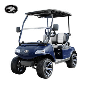 HDK EV Utility Vehicle Mini Buggy UTV Electric 2 Seats