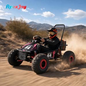 ApexJoy StormRider-1000W Electric Off-Road Go Kart Adult 48V 20Ah Lead-Acid 40kmh 150KG Max Load Dual A-Arm Hydraulic Disc Brake